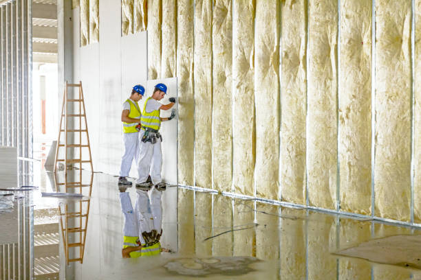 Best Residential Insulation in Hudson, CO